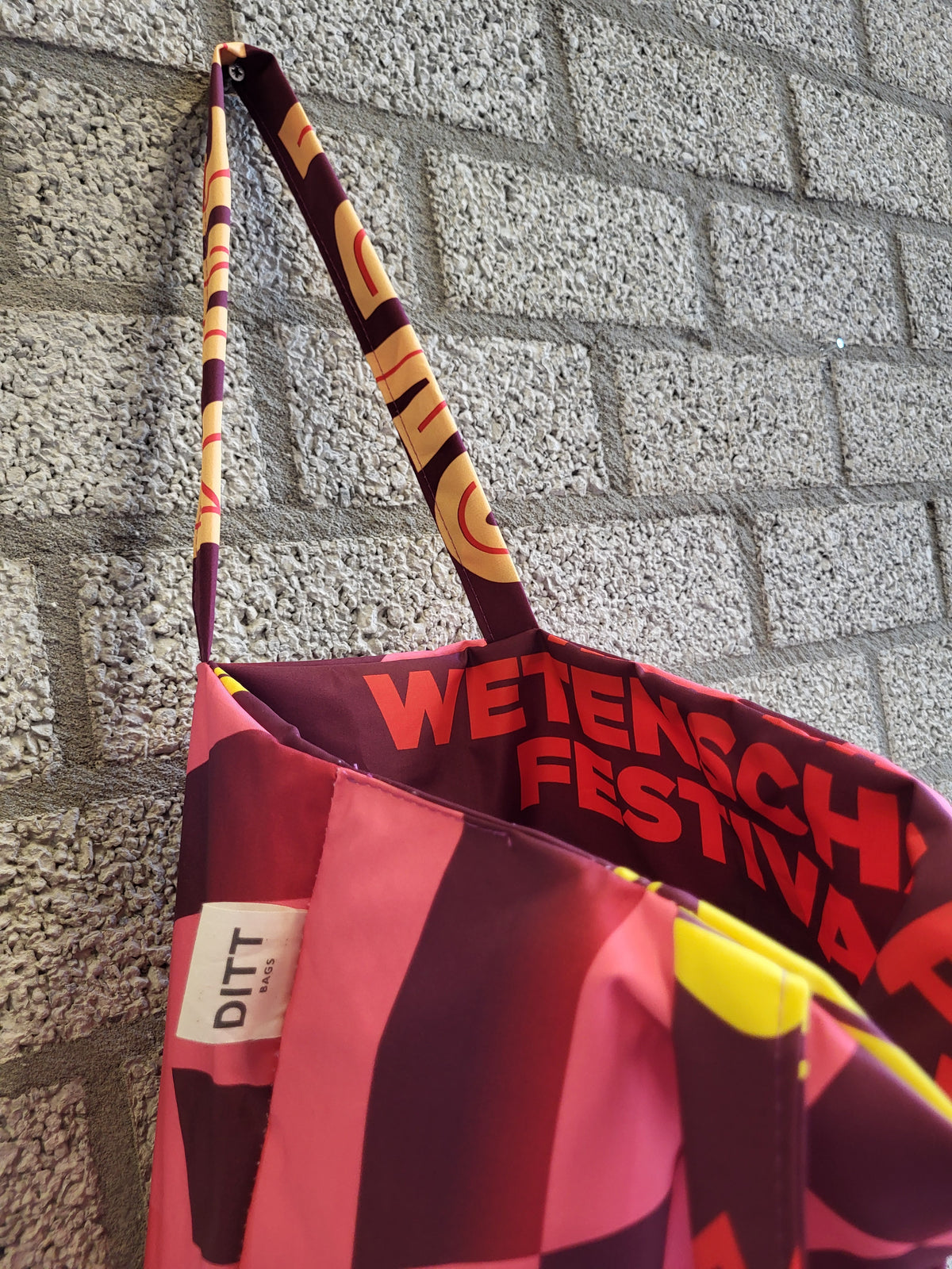 Wetenschapsfestival
